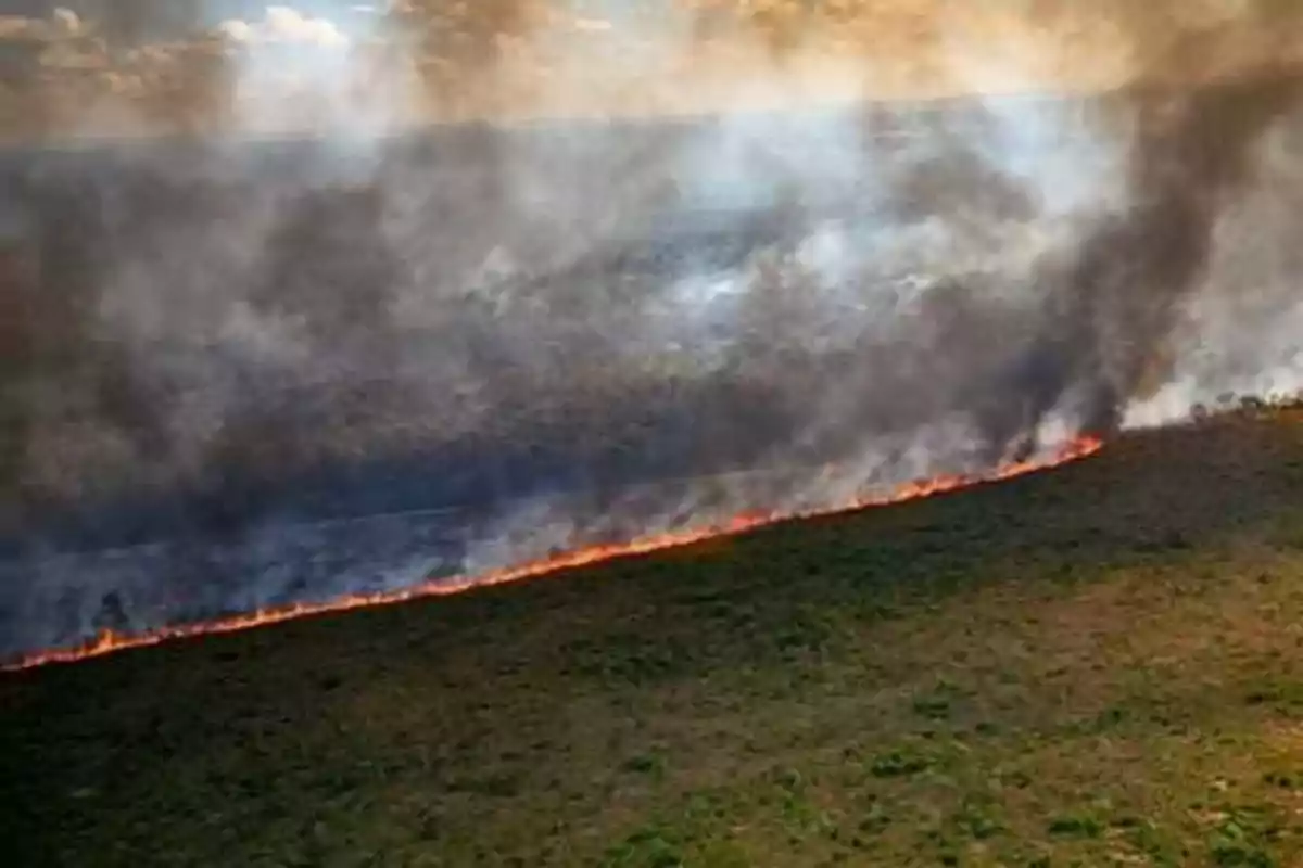 Incendio forestal en una pradera con humo denso elevándose al cielo.