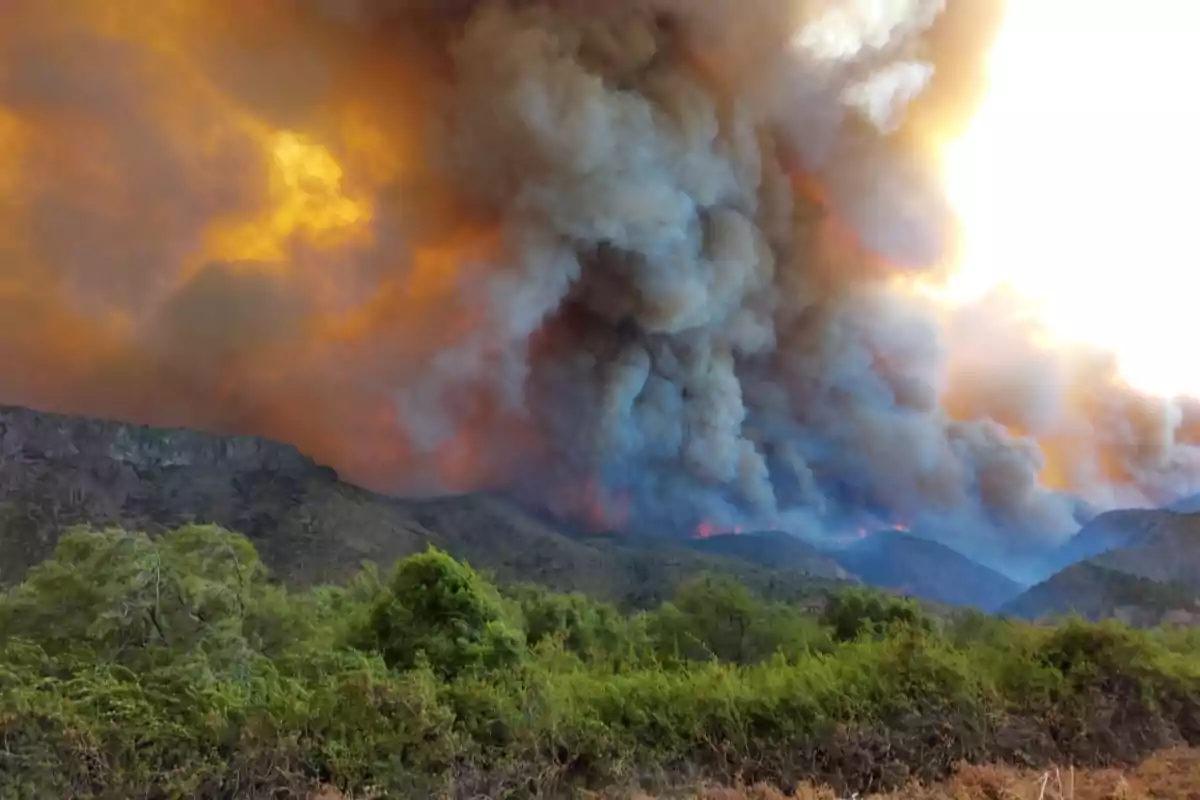 Incendio forestal en una zona montañosa con grandes columnas de humo y llamas visibles en el horizonte.