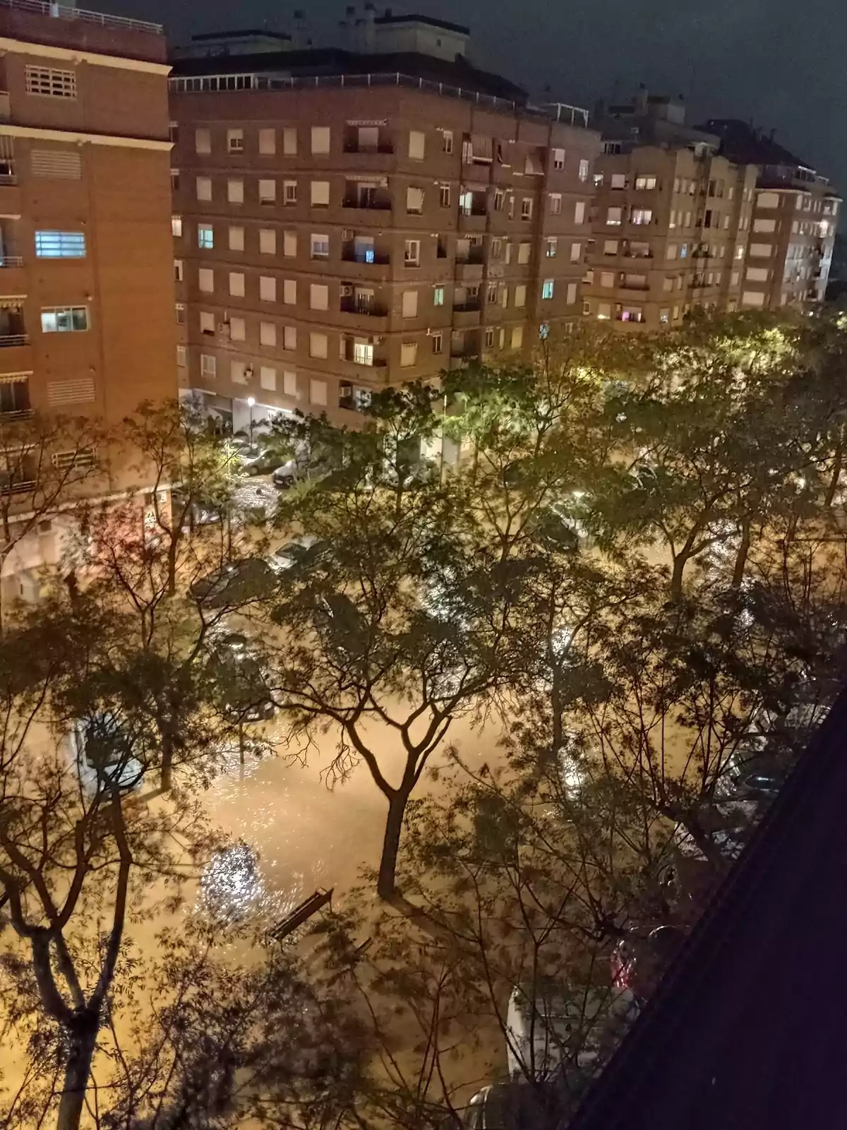 Edificios residenciales rodeados de árboles y una calle inundada por la noche.