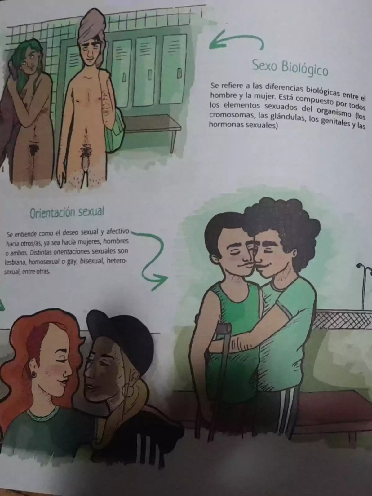 La imagen muestra ilustraciones que representan el sexo biológico y la orientación sexual. En la parte superior, hay dos personas en un vestuario, una con una toalla en la cabeza. A la derecha, dos personas se abrazan, una de ellas con muletas. En la parte inferior, dos personas se miran afectuosamente. Los textos explican conceptos relacionados con la diversidad sexual y de género.