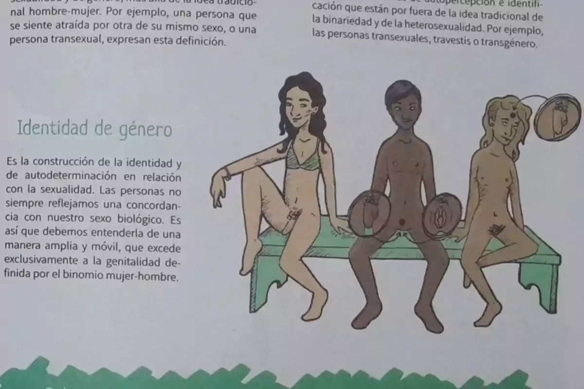 Ilustración sobre identidad de género mostrando a tres personas con diferentes características físicas y genitales, acompañada de texto explicativo sobre la construcción de la identidad y la autodeterminación en relación con la sexualidad.