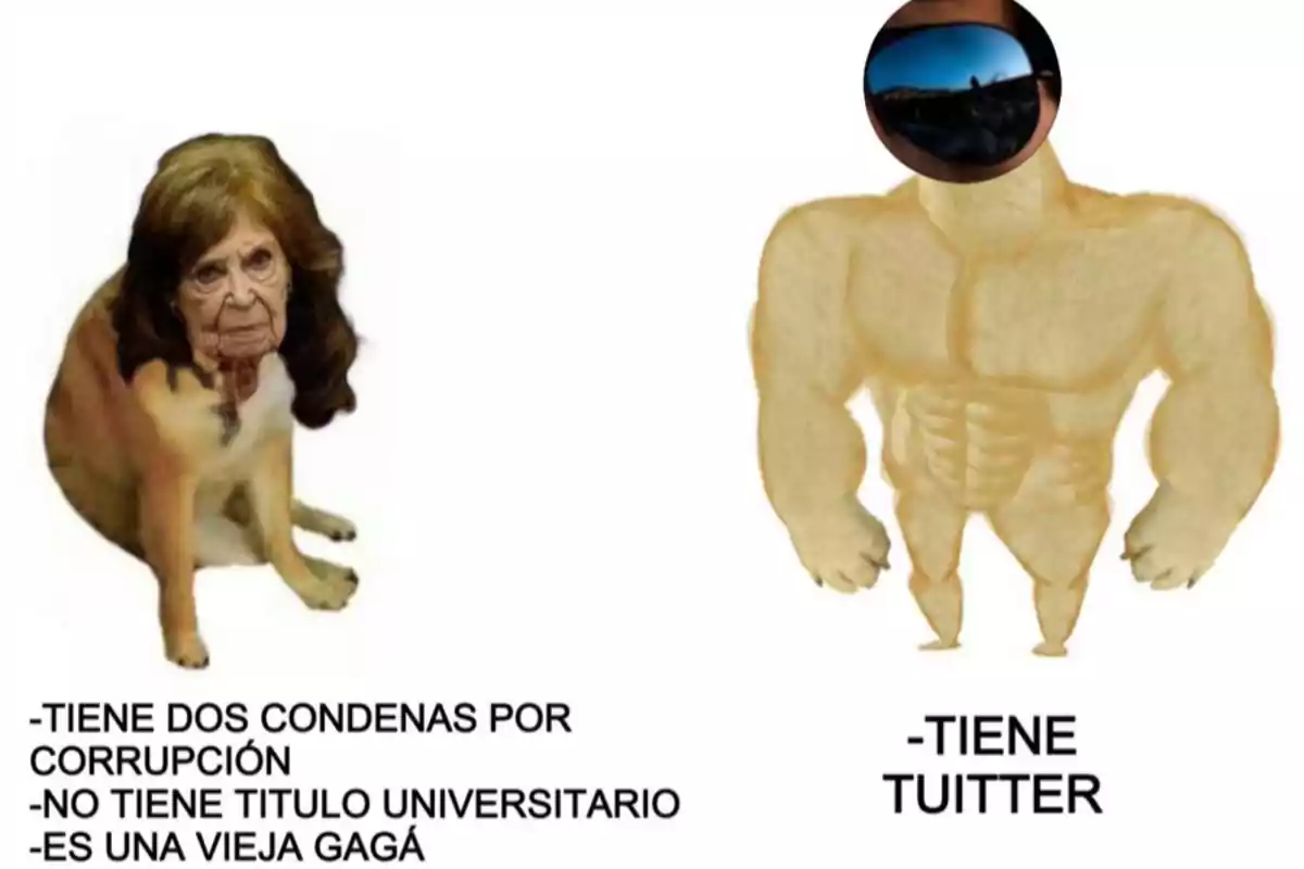 Meme de dos perros, uno con cuerpo normal y cara de anciana con texto que enumera críticas, y otro perro musculoso con gafas y texto que resalta que tiene Twitter Meme de dos perros, uno con cuerpo normal y cara de anciana con texto que enumera críticas, y otro perro musculoso con gafas y texto que resalta que tiene Twitter