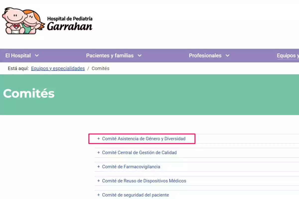 Website of the Garrahan Pediatric Hospital showing a list of committees, with the Gender and Diversity Assistance Committee highlighted in a pink box
