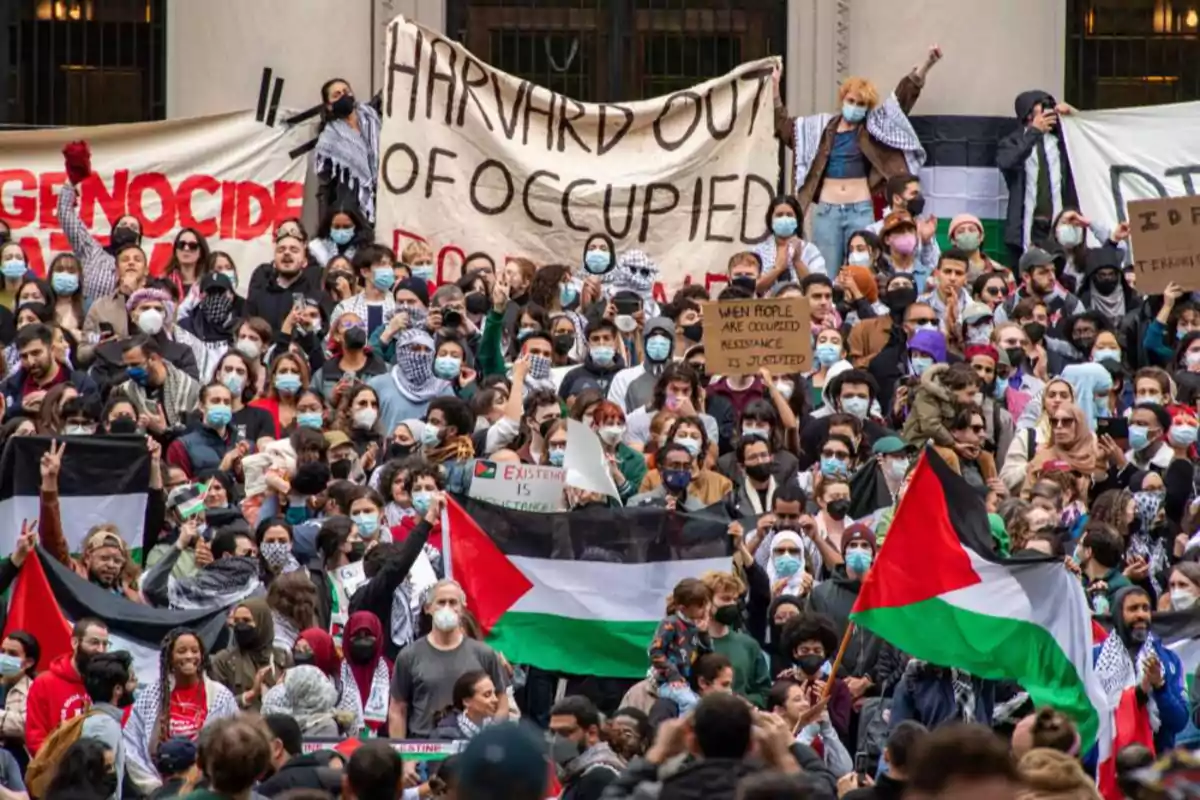 Multitud de personas reunidas en una manifestación con banderas palestinas y pancartas, muchas de ellas usando mascarillas y pañuelos, frente a un edificio Multitud de personas reunidas en una manifestación con banderas palestinas y pancartas, muchas de ellas usando mascarillas y pañuelos, frente a un edificio