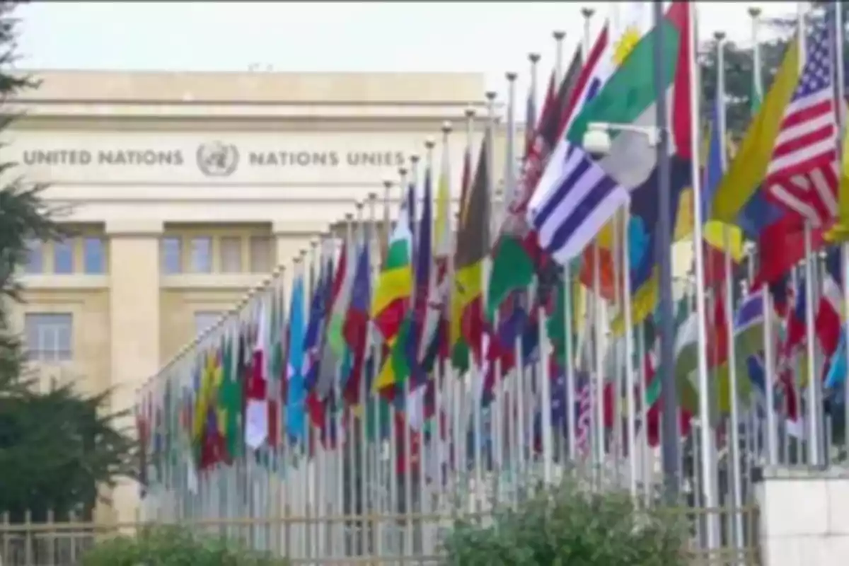 Edificio de las Naciones Unidas con múltiples banderas de diferentes países ondeando al frente.