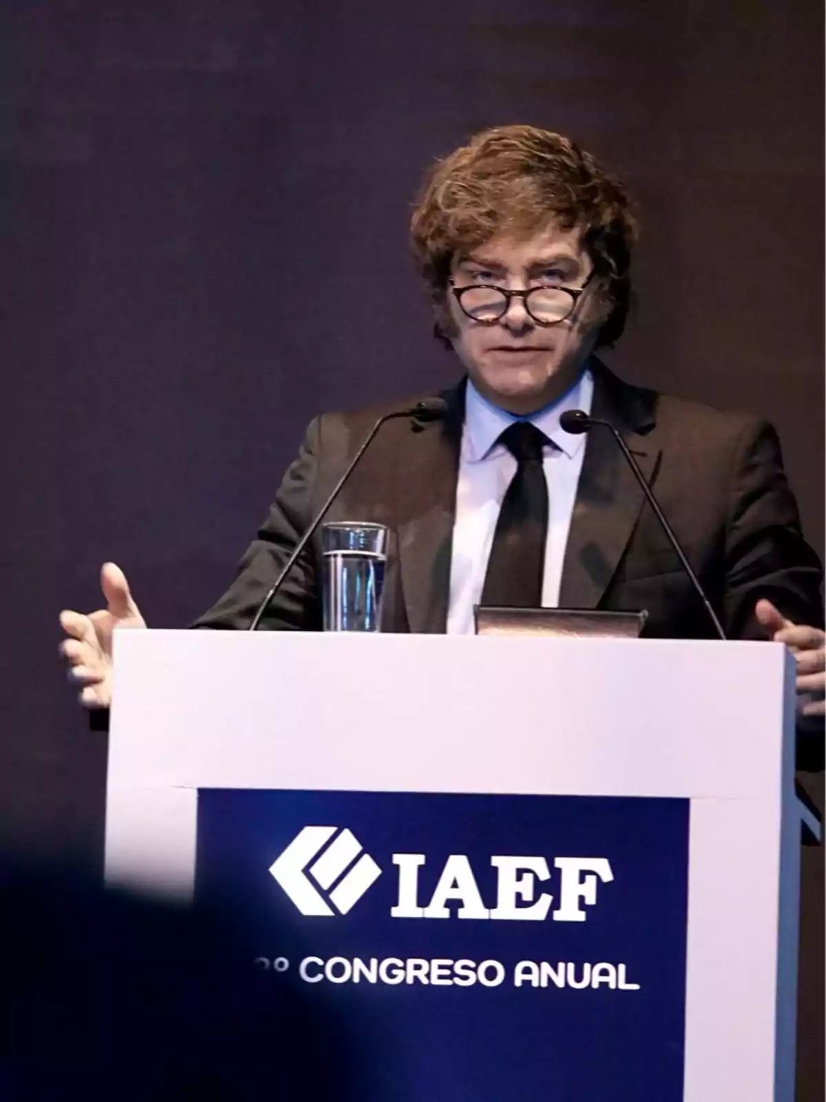 Un hombre con gafas y traje oscuro habla en un podio durante un congreso anual del IAEF.