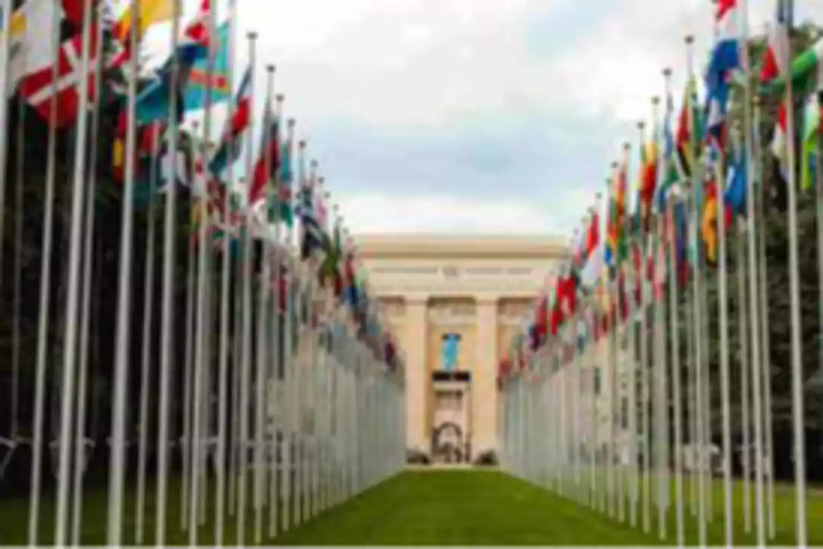 Una fila de banderas de diferentes países alineadas a lo largo de un camino que conduce a un edificio oficial. Una fila de banderas de diferentes países alineadas a lo largo de un camino que conduce a un edificio oficial.