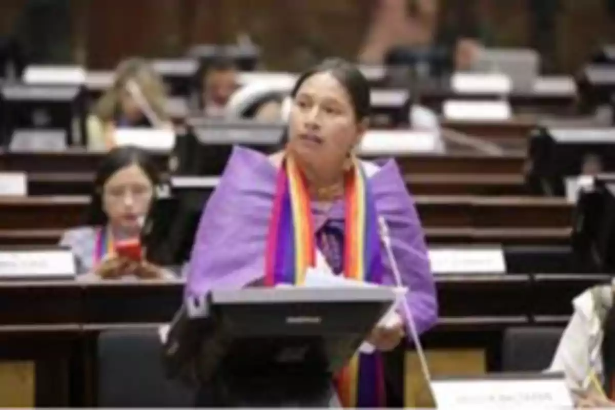 Indigenous woman in traditional clothing and a multicolored sash speaking at a podium inside a parliamentary chamber Indigenous woman in traditional clothing and a multicolored sash speaking at a podium inside a parliamentary chamber