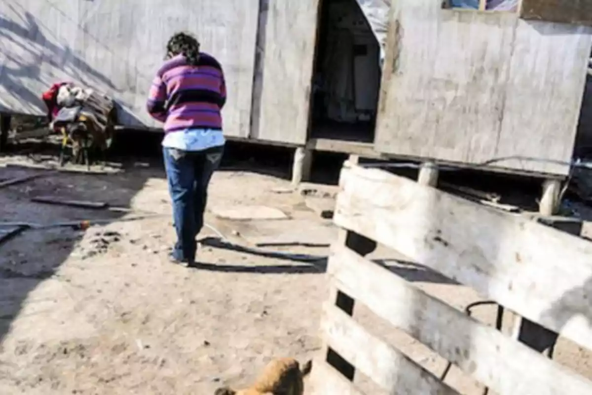 Una persona con suéter de rayas camina hacia una casa de madera en un entorno rural, mientras un perro está en el suelo cerca de una cerca improvisada.