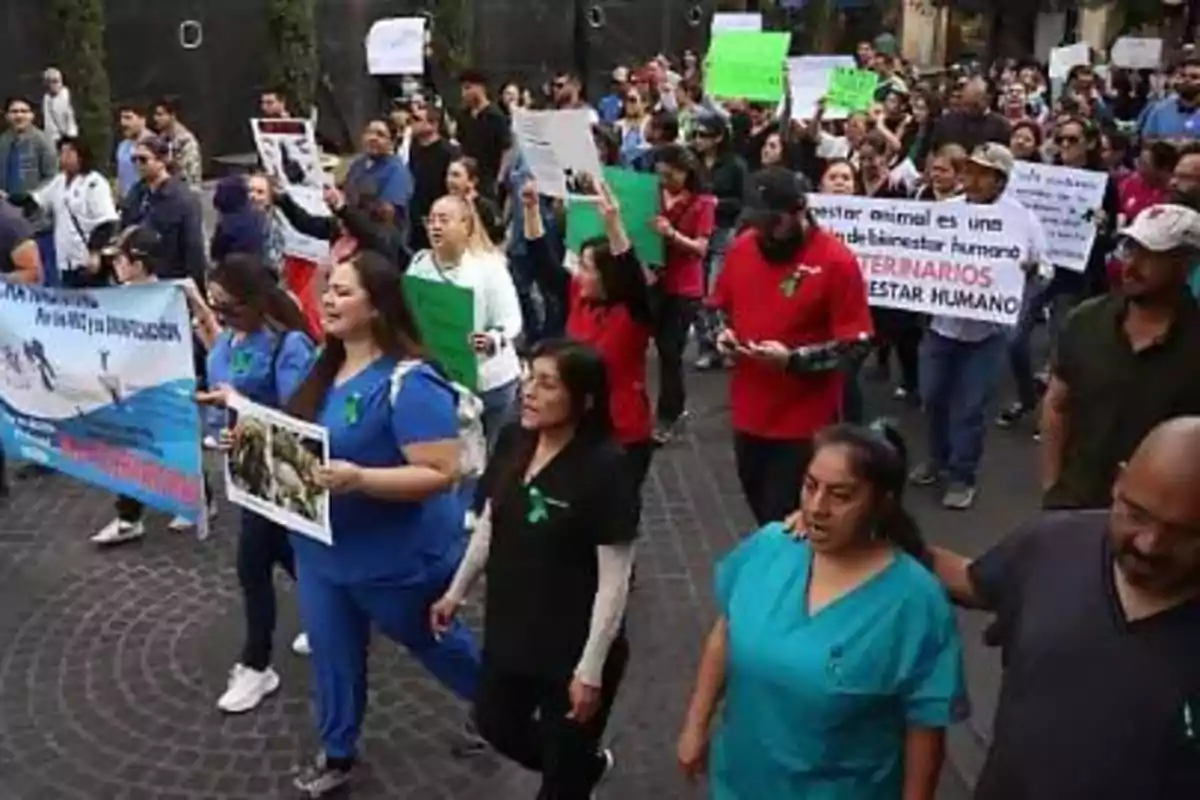 Un grupo de personas marcha por la calle sosteniendo pancartas y vistiendo uniformes de colores, participando en una manifestación.