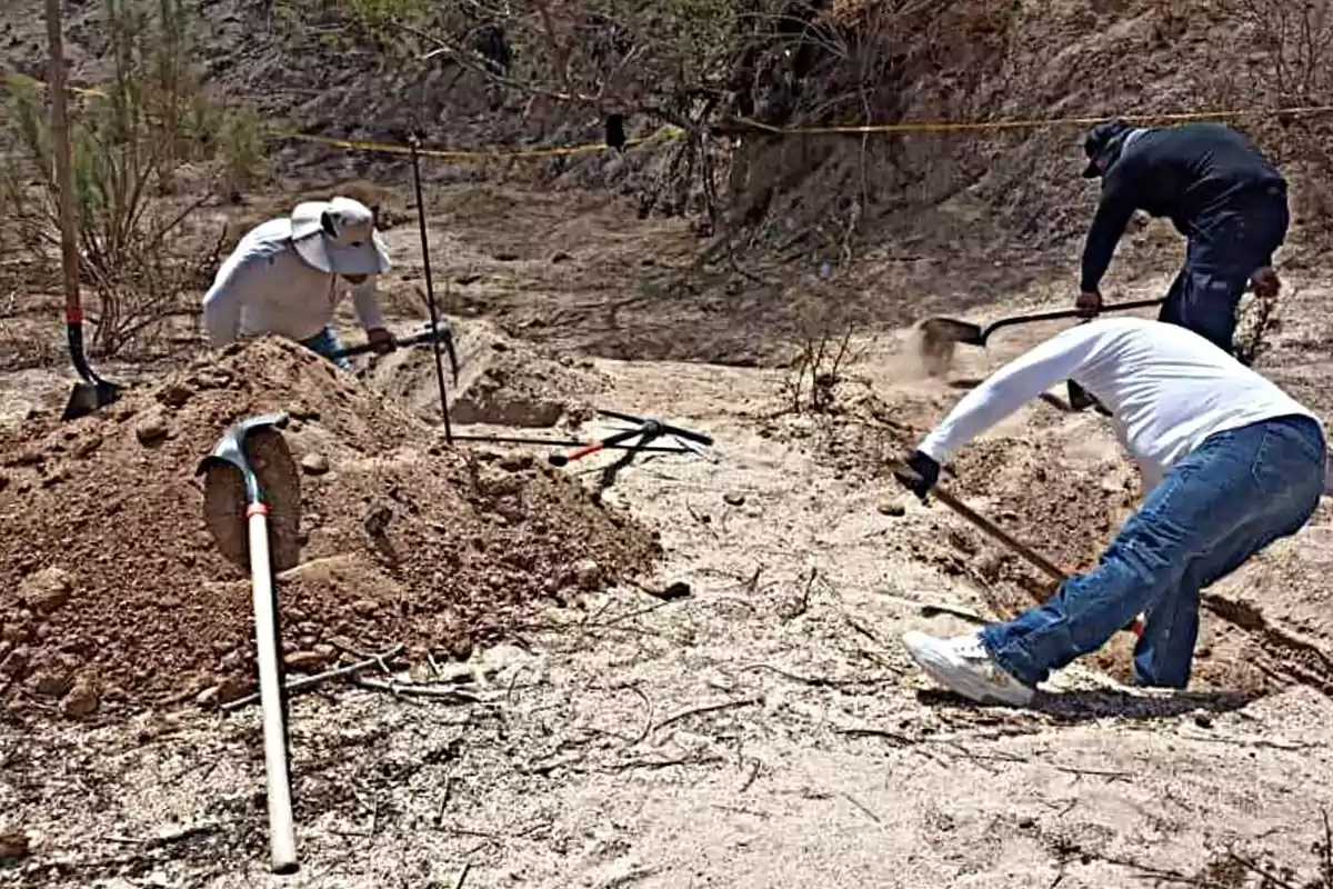 Tres personas cavando en un terreno árido con palas y herramientas.