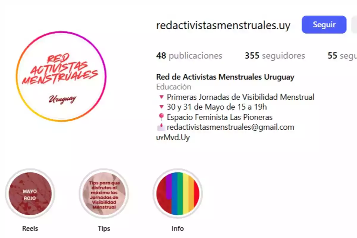 Instagram profile of the Menstrual Activists Network Uruguay with information about menstrual visibility events, contact details, and story highlights on Red May, tips, and information.