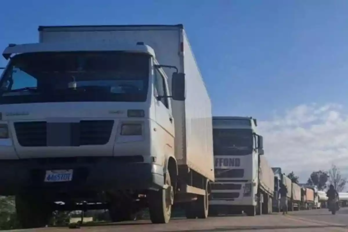 Una fila de camiones blancos estacionados en una carretera bajo un cielo despejado.