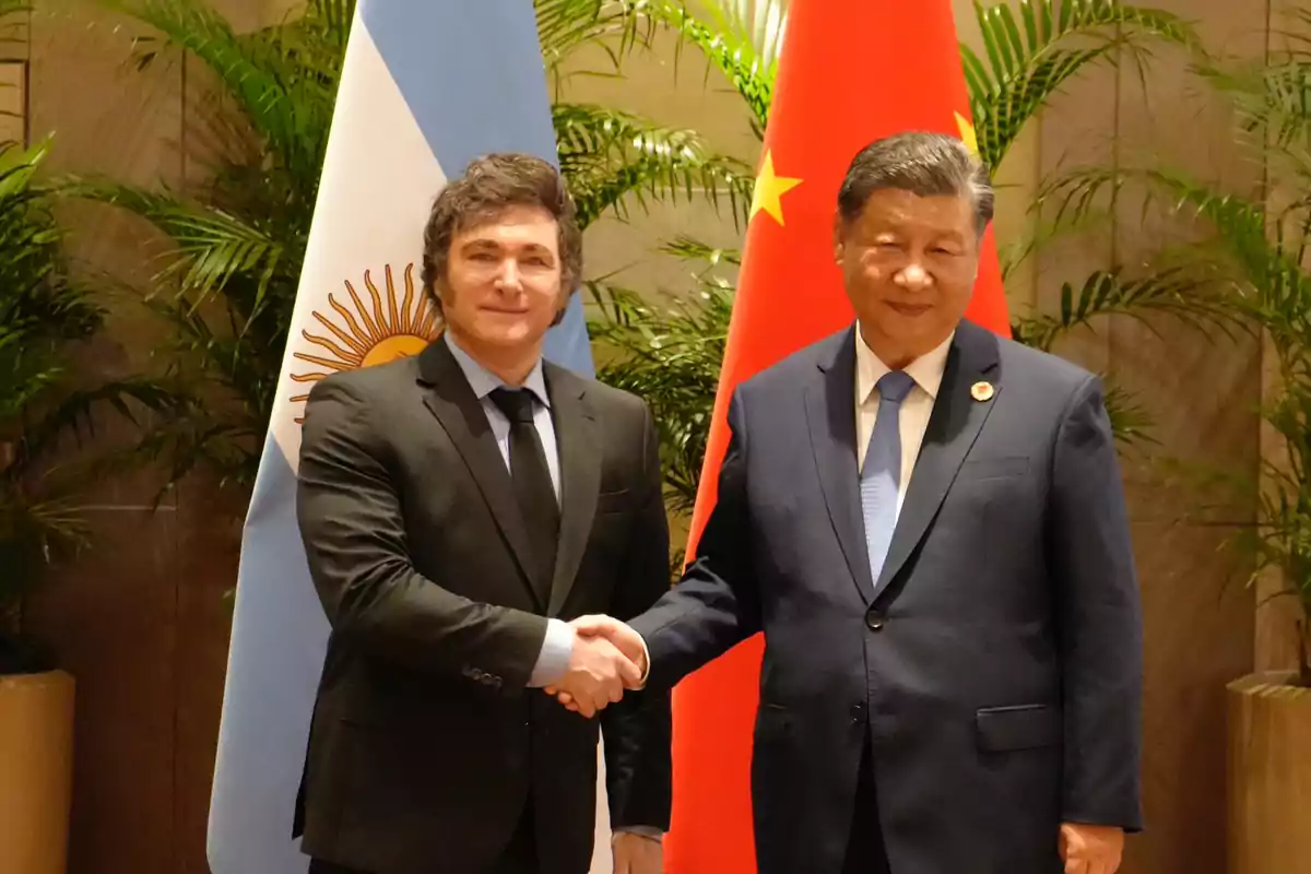 Dos personas dándose la mano frente a las banderas de Argentina y China.