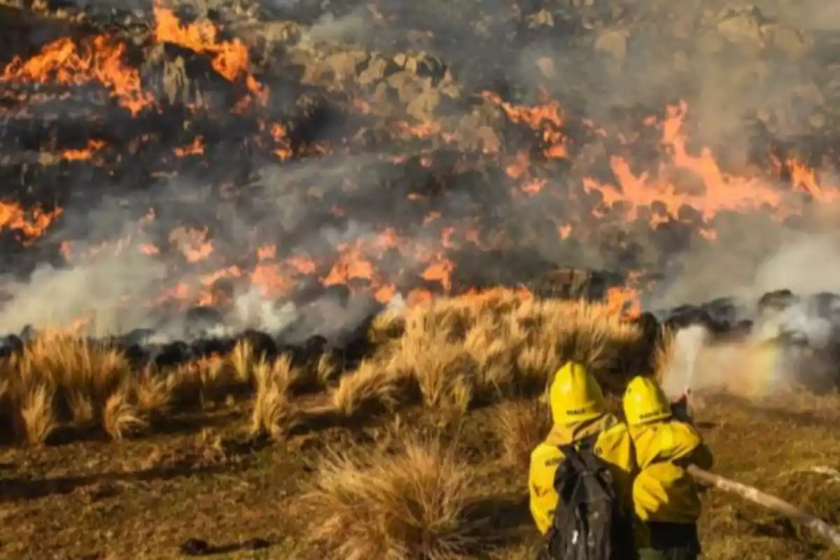 Dos bomberos con trajes amarillos combaten un incendio forestal en una zona de pastizales mientras el fuego avanza y el humo se eleva en el ambiente Dos bomberos con trajes amarillos combaten un incendio forestal en una zona de pastizales mientras el fuego avanza y el humo se eleva en el ambiente