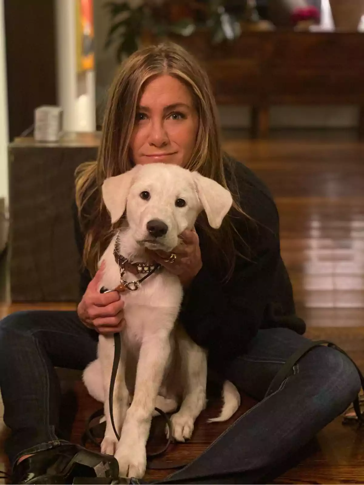 Una persona sentada en el suelo abrazando a un perro blanco en una habitación con suelo de madera. Una persona sentada en el suelo abrazando a un perro blanco en una habitación con suelo de madera.