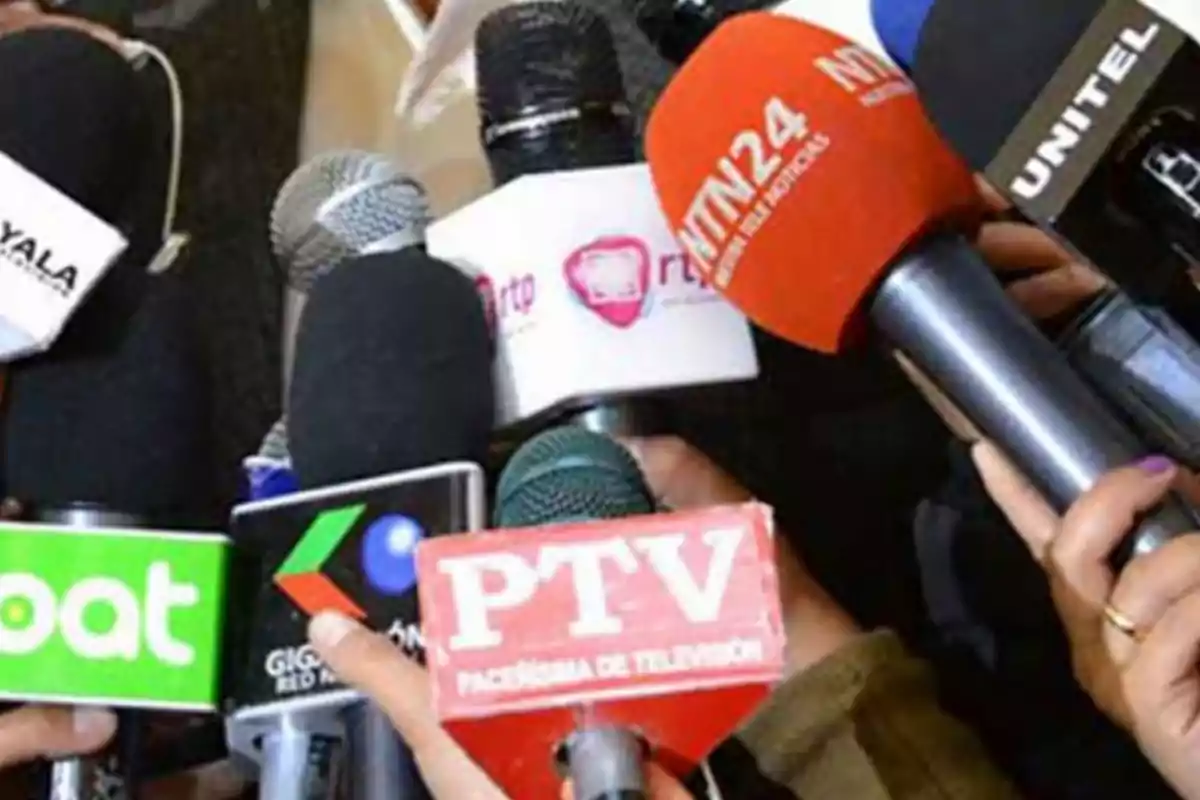 A group of microphones from different media outlets surrounds a person.