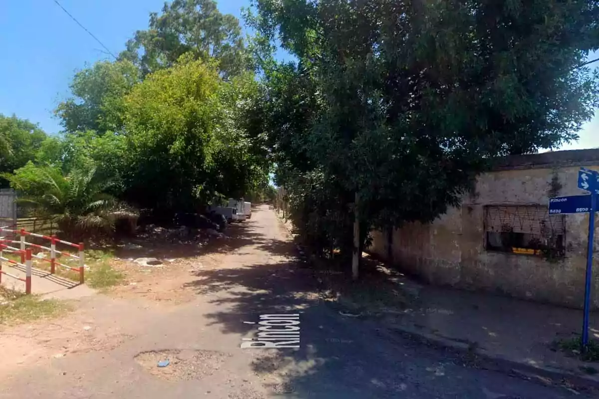 Una calle estrecha rodeada de árboles y vegetación con un camino de tierra y un letrero azul en la esquina. Una calle estrecha rodeada de árboles y vegetación con un camino de tierra y un letrero azul en la esquina.