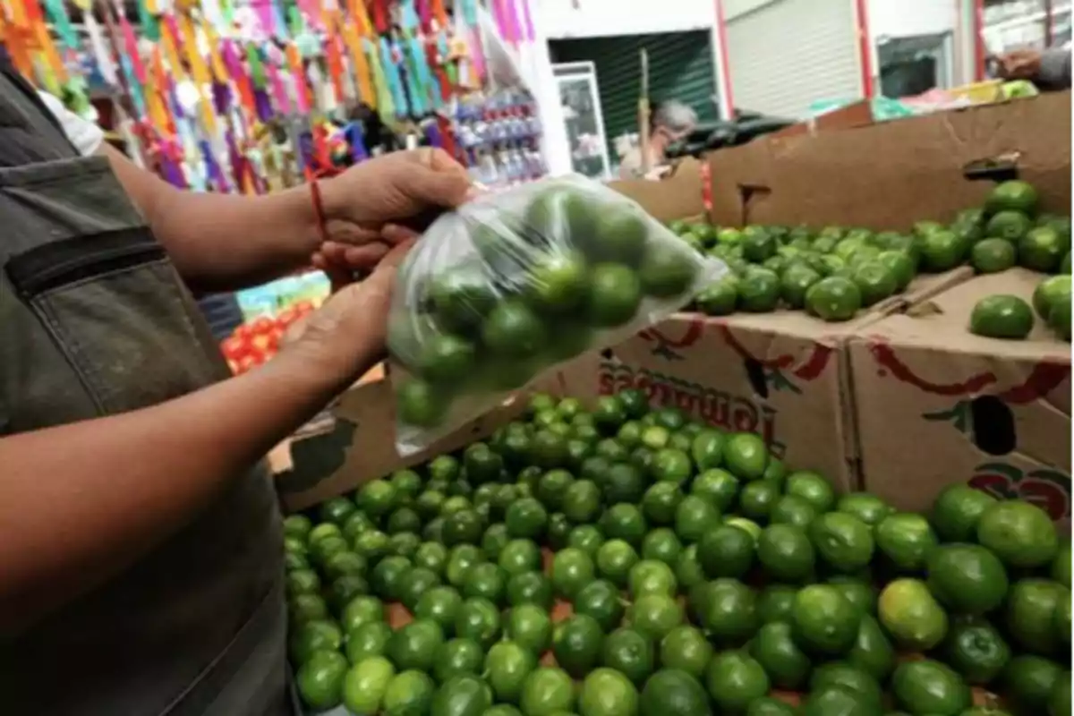 Persona sosteniendo una bolsa de limones en un mercado.