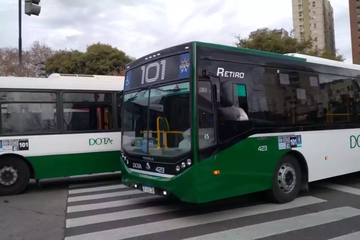 Un autobús verde y blanco de la línea 101 está detenido en un cruce peatonal en una ciudad, con edificios y árboles al fondo.
