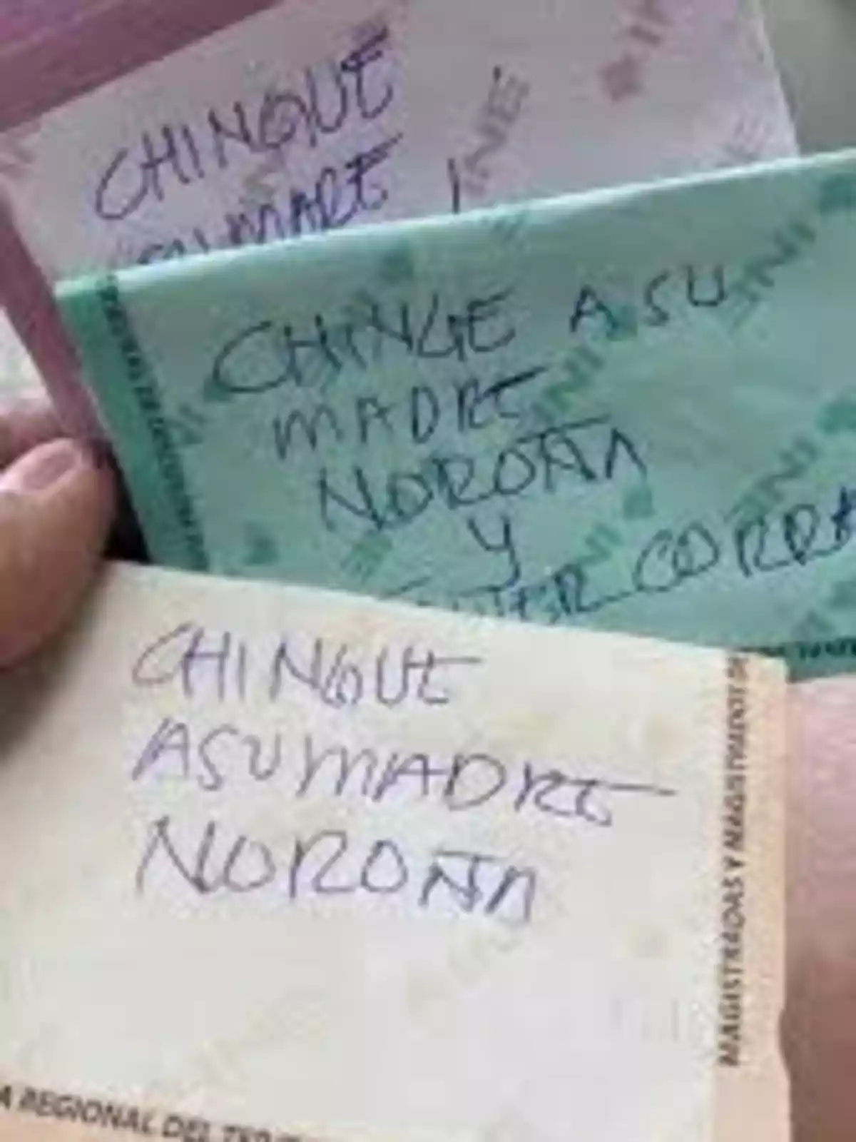 Handwritten ballots with offensive messages directed at a Mexican politician Handwritten ballots with offensive messages directed at a Mexican politician