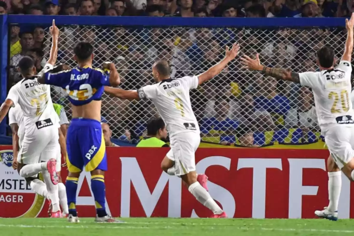 Soccer players celebrate a goal in front of a crowd at the stadium. Soccer players celebrate a goal in front of a crowd at the stadium.