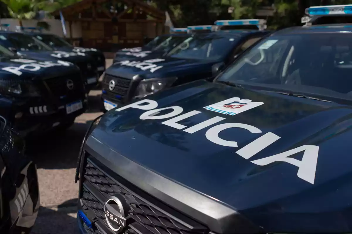 Several police patrol cars parked in a row during the day