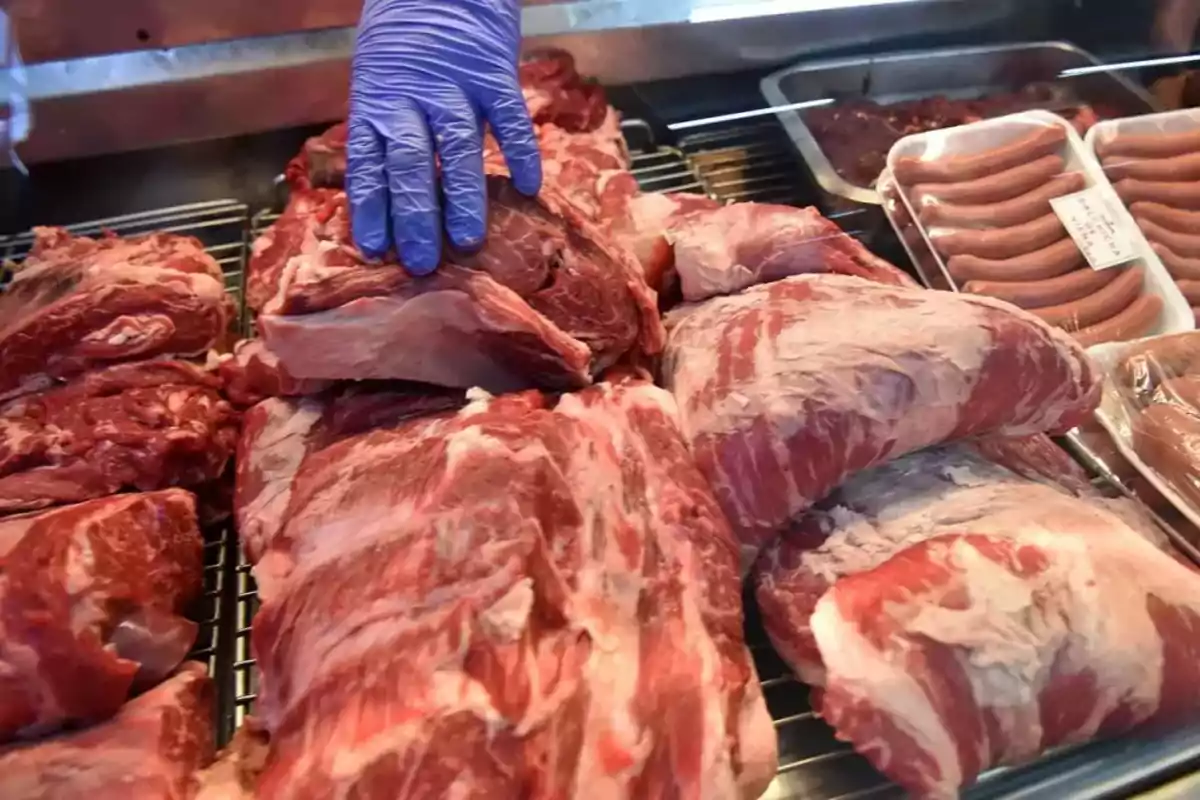 Persona con guantes azules manipulando cortes de carne en un mostrador de carnicería.