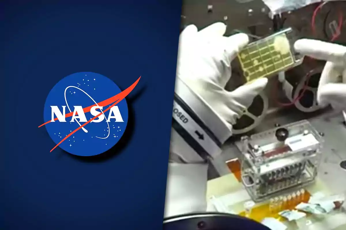 Logotipo de la NASA junto a un experimento científico en un laboratorio con guantes blancos.