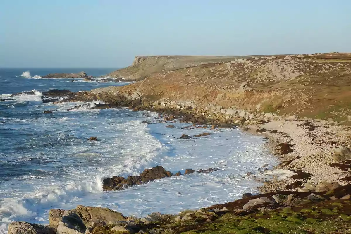 Rocky coast with breaking waves and low cliffs under a clear sky Rocky coast with breaking waves and low cliffs under a clear sky