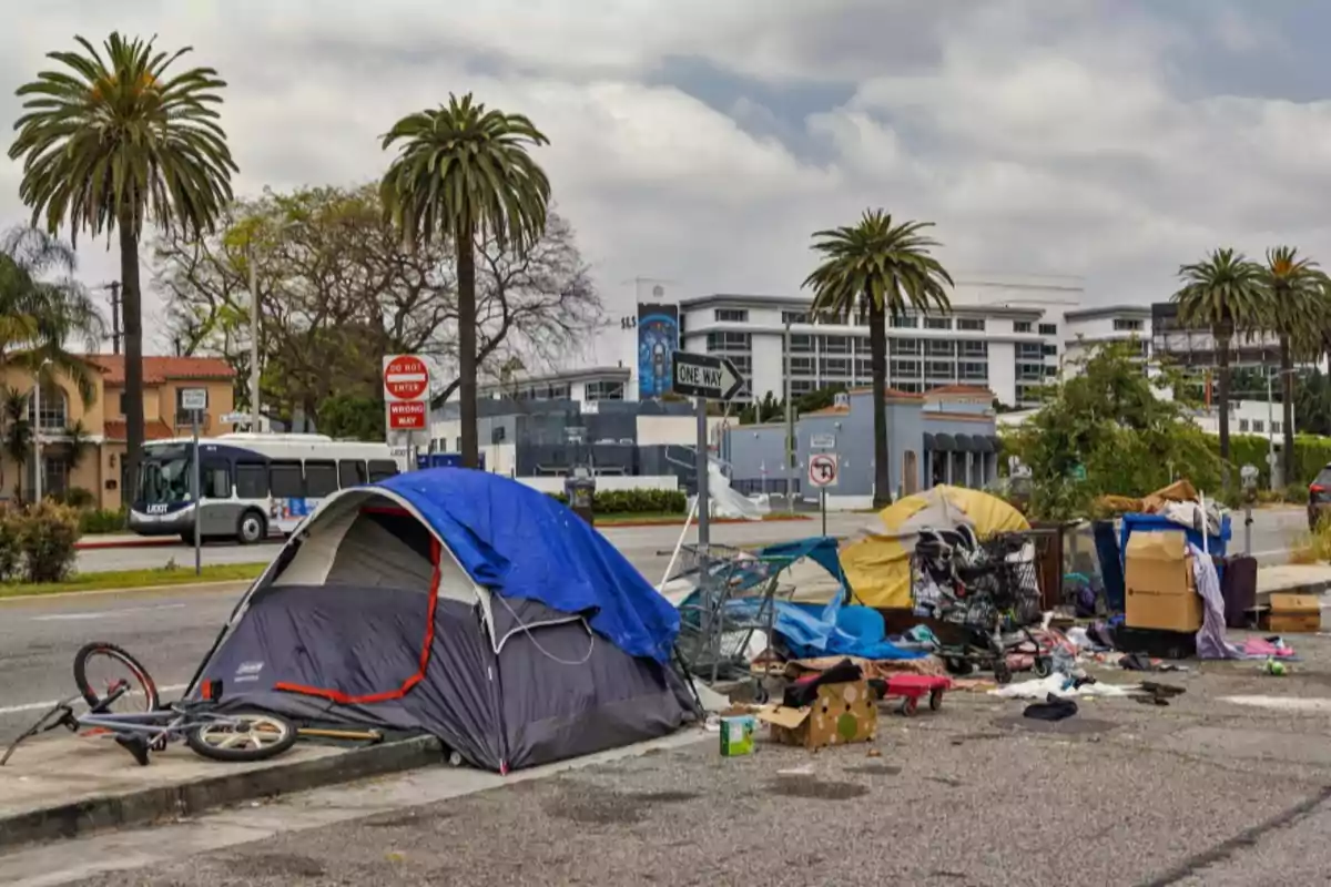 Una fila de tiendas de campaña y pertenencias personales se encuentran en una acera junto a una calle con palmeras y edificios al fondo. Una fila de tiendas de campaña y pertenencias personales se encuentran en una acera junto a una calle con palmeras y edificios al fondo.