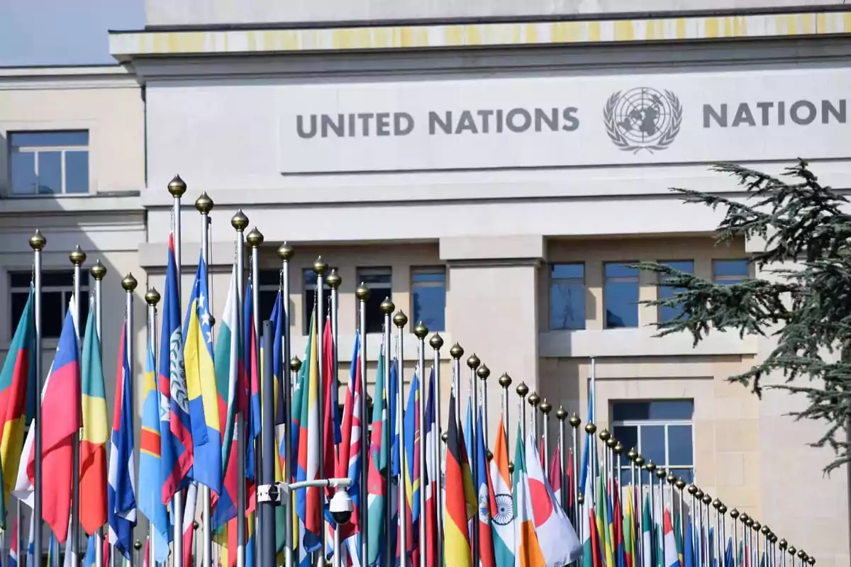 Facade of the United Nations building with numerous flags of different countries waving in front