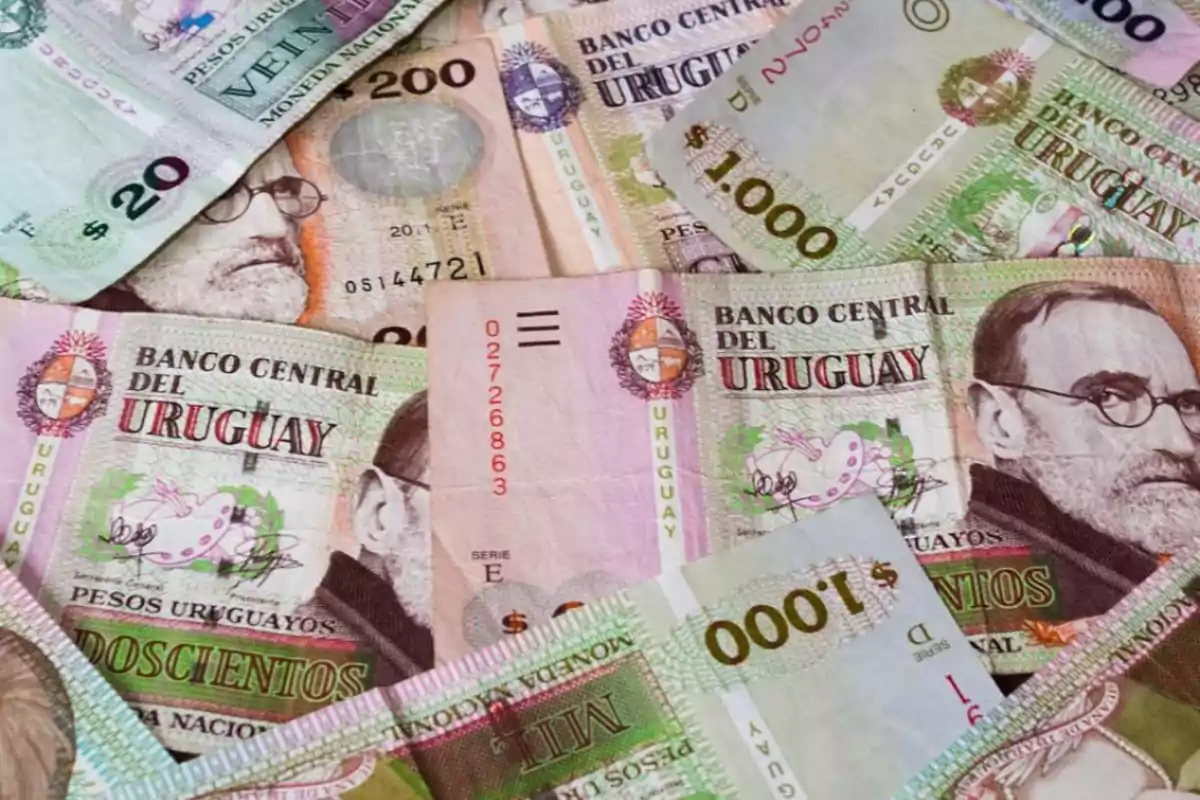 Banknotes of different denominations from the Central Bank of Uruguay. Banknotes of different denominations from the Central Bank of Uruguay.