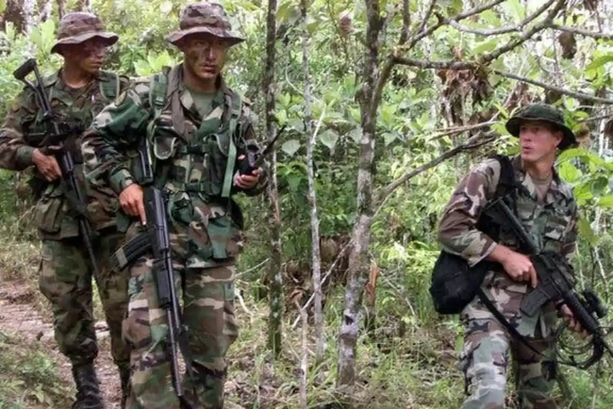 Soldiers in camouflage uniforms and armed walk through a dense forest. Soldiers in camouflage uniforms and armed walk through a dense forest.
