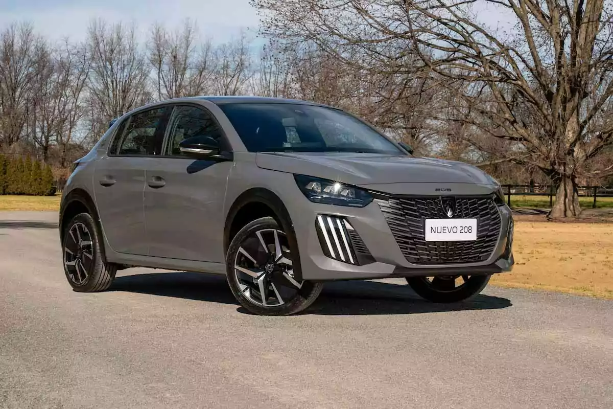Auto Peugeot 208 gris estacionado en una calle con árboles sin hojas al fondo Auto Peugeot 208 gris estacionado en una calle con árboles sin hojas al fondo