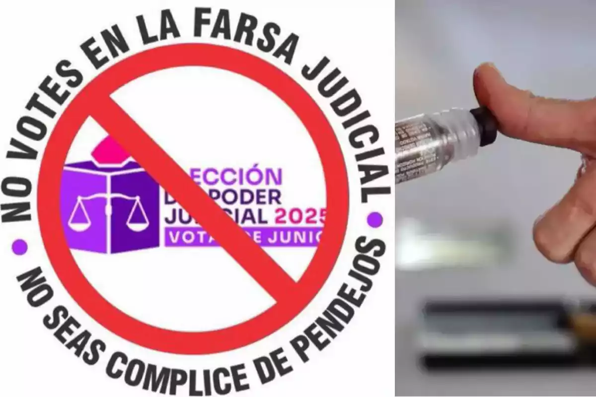 A sign with a prohibition symbol over a ballot box and a protest message, next to an image of a finger being marked with ink.