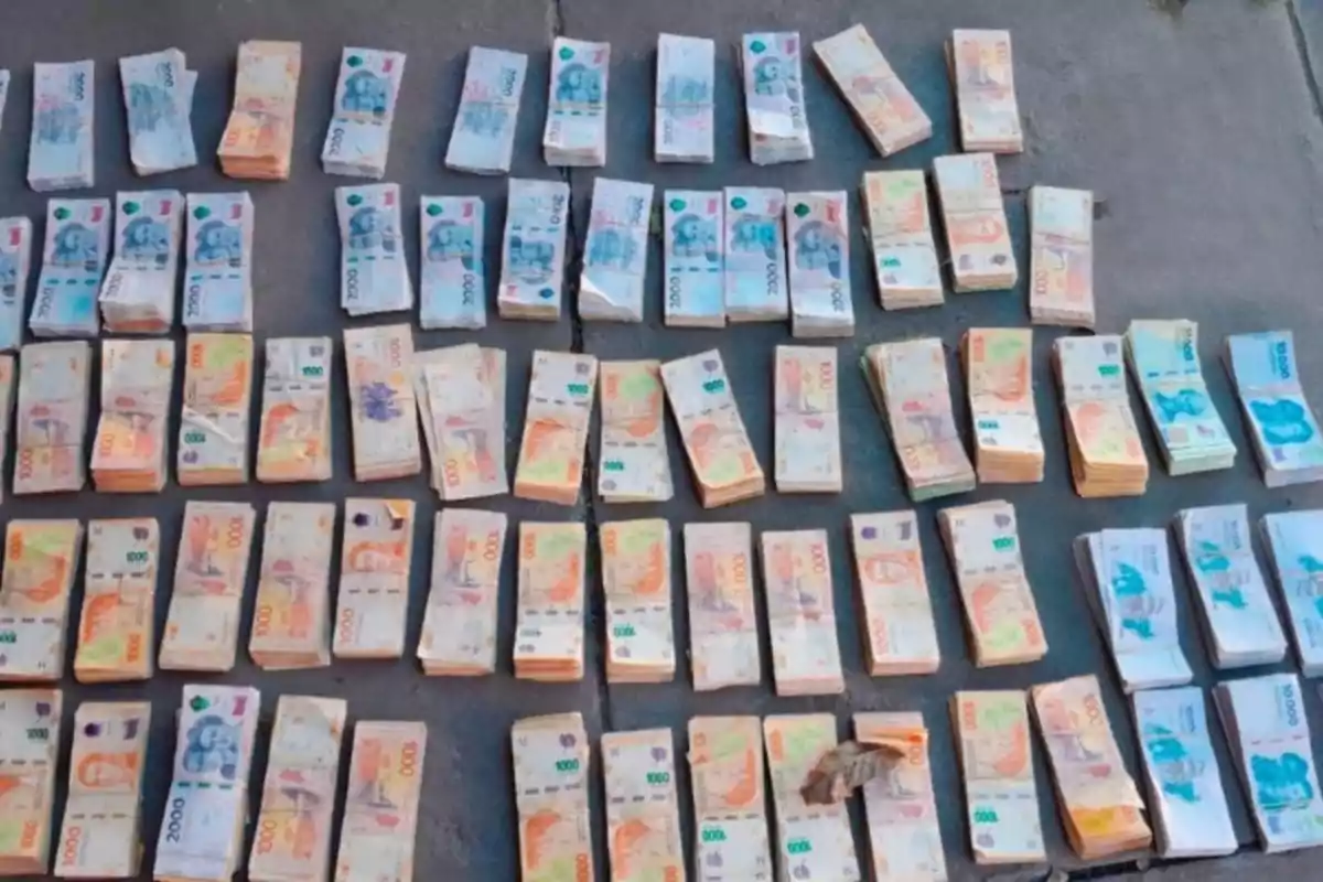 Several bundles of Argentine banknotes of different denominations arranged in rows on a gray surface