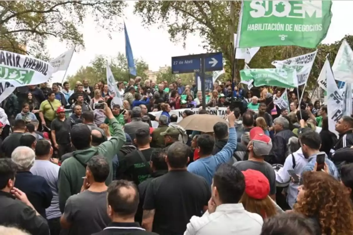 Multitud de personas reunidas en una manifestación con pancartas y banderas verdes y blancas en una calle rodeada de árboles Multitud de personas reunidas en una manifestación con pancartas y banderas verdes y blancas en una calle rodeada de árboles