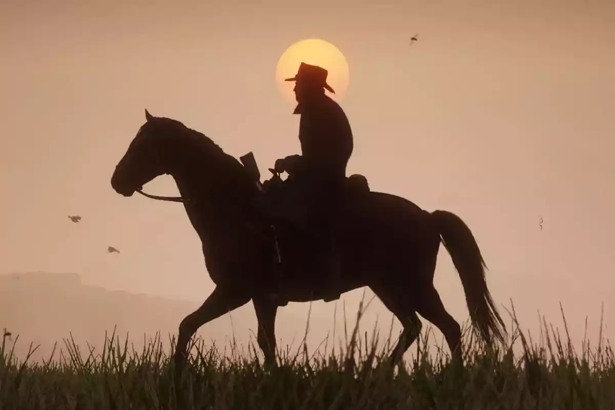 Silhouette of a rider on horseback at sunset with the sun in the background and birds flying in the sky. Silhouette of a rider on horseback at sunset with the sun in the background and birds flying in the sky.