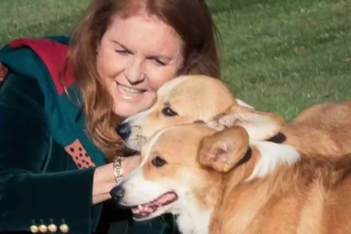 A smiling woman hugs two corgi dogs in a garden. A smiling woman hugs two corgi dogs in a garden.