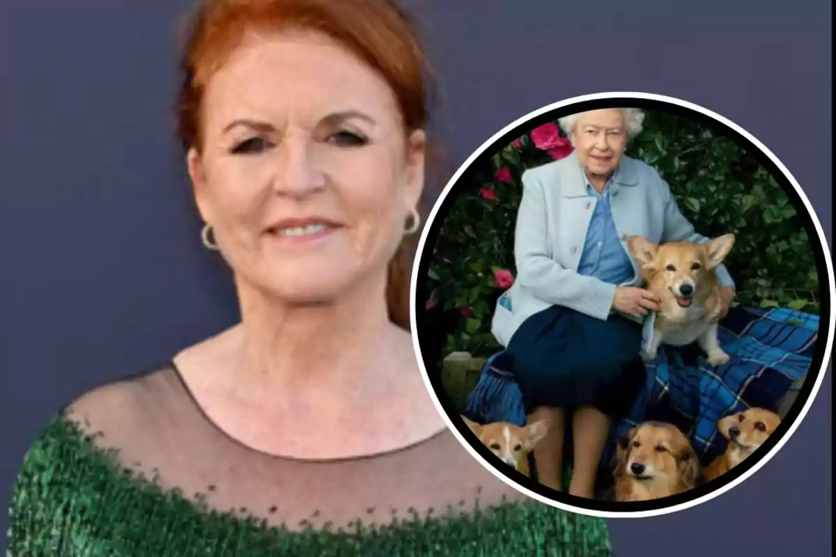 A woman with red hair and a green dress poses in front of the camera, while in a box an older person is shown sitting on a bench with several corgi dogs.