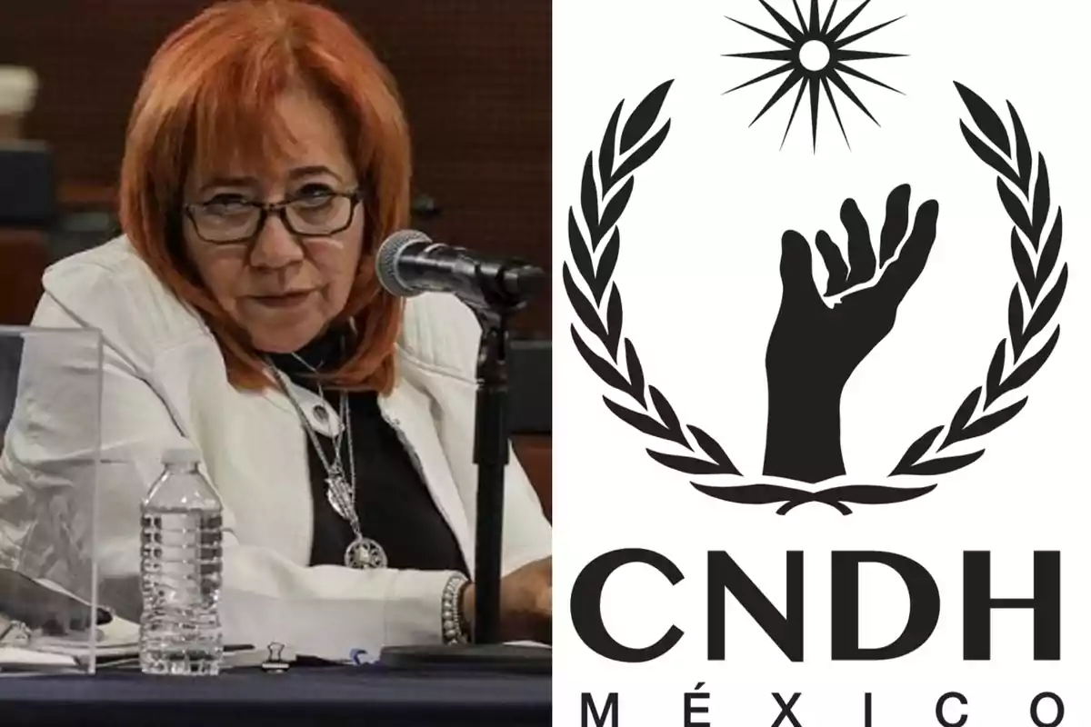 Una persona con cabello rojizo y gafas está sentada frente a un micrófono, junto a una botella de agua, y al lado derecho se muestra el logotipo de la CNDH México con una mano levantada rodeada de laureles y una estrella arriba.