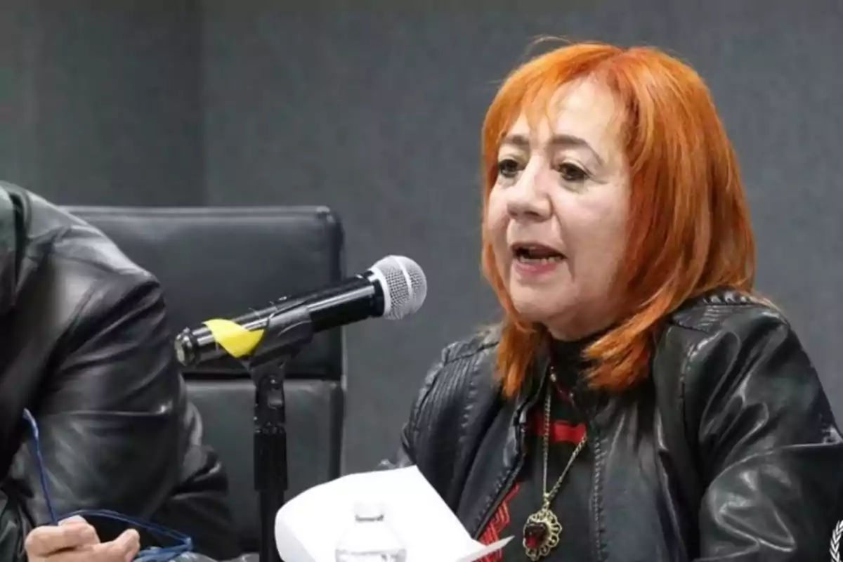Una mujer de cabello rojo y chaqueta de cuero negro habla frente a un micrófono en una sala de conferencias. Una mujer de cabello rojo y chaqueta de cuero negro habla frente a un micrófono en una sala de conferencias.