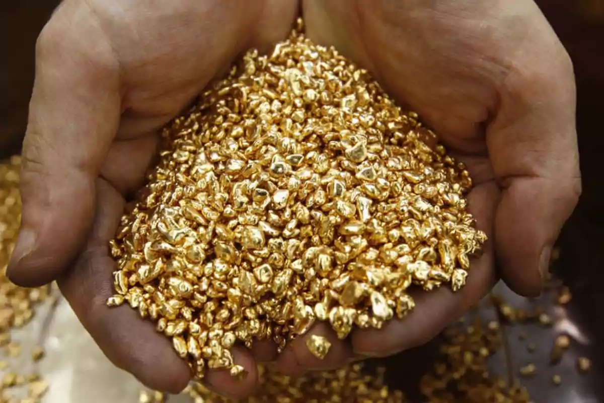 Manos sosteniendo una gran cantidad de pepitas de oro.