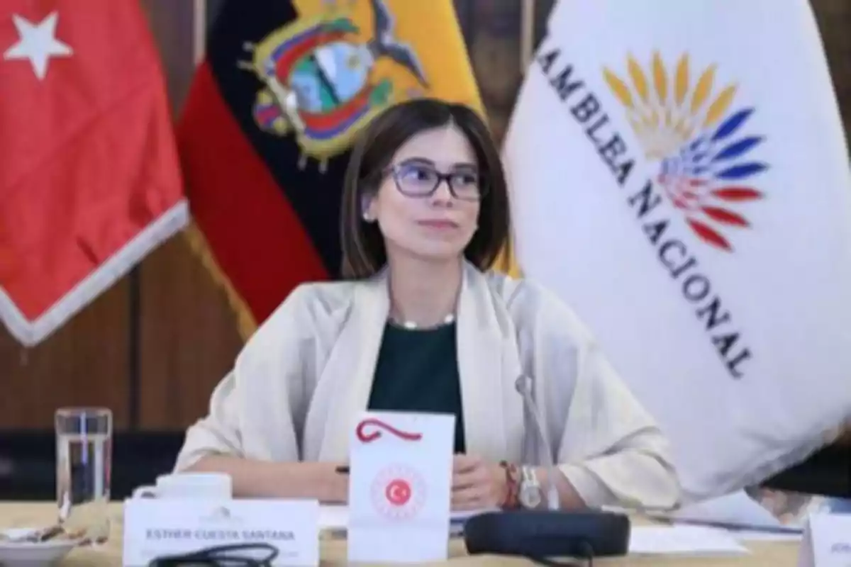 A person sitting at a table with flags in the background and a nameplate. A person sitting at a table with flags in the background and a nameplate.