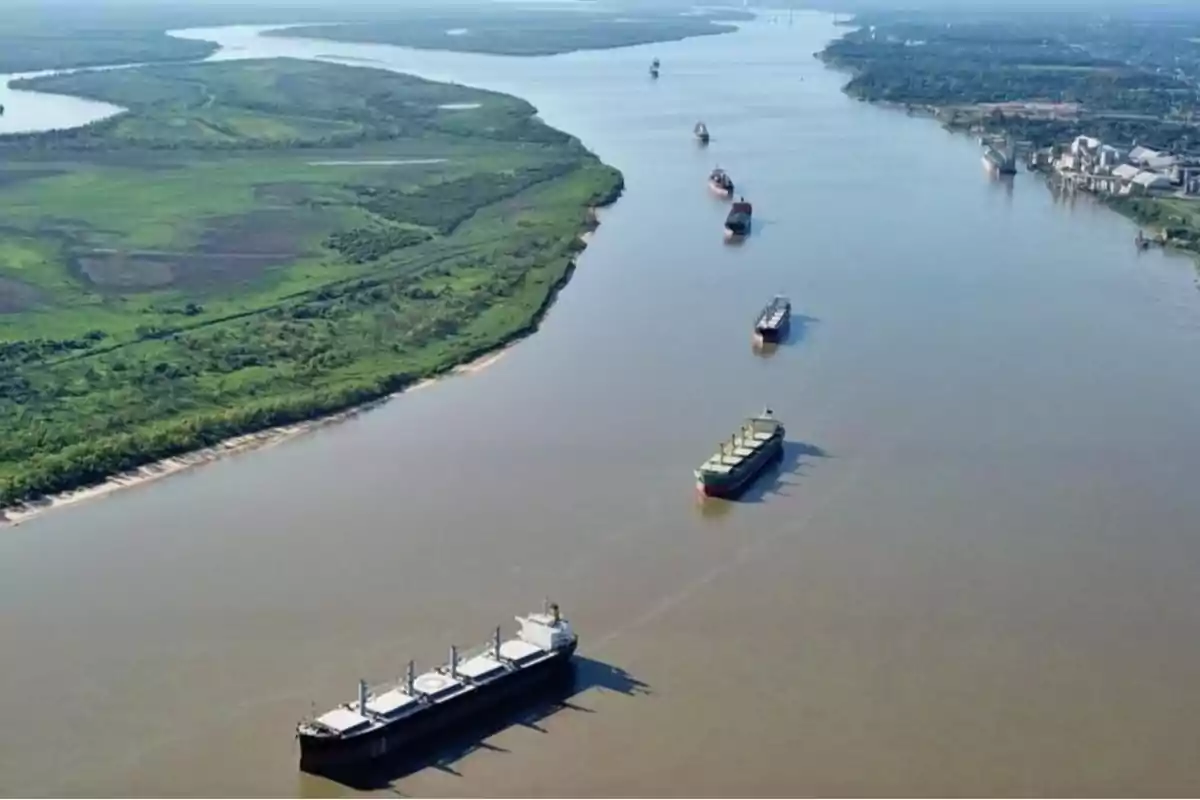 Una serie de barcos navegando en un río amplio con vegetación en las orillas.