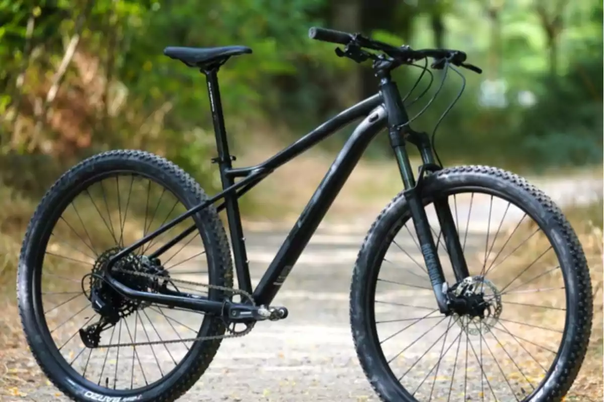 Bicicleta de montaña negra en un sendero rodeado de vegetación.