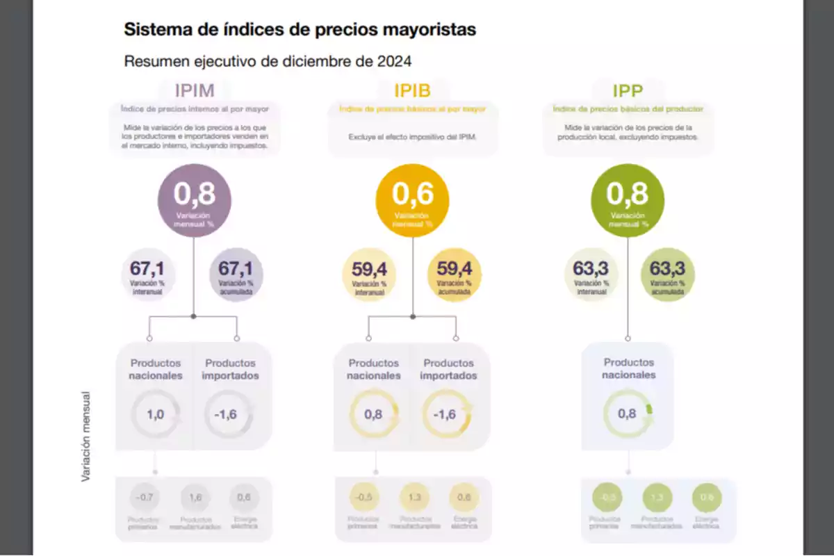 Gráfico del sistema de índices de precios mayoristas con datos de variación mensual, interanual y acumulada para diciembre de 2024, mostrando los índices IPIM, IPIB e IPP, con detalles sobre productos nacionales e importados.