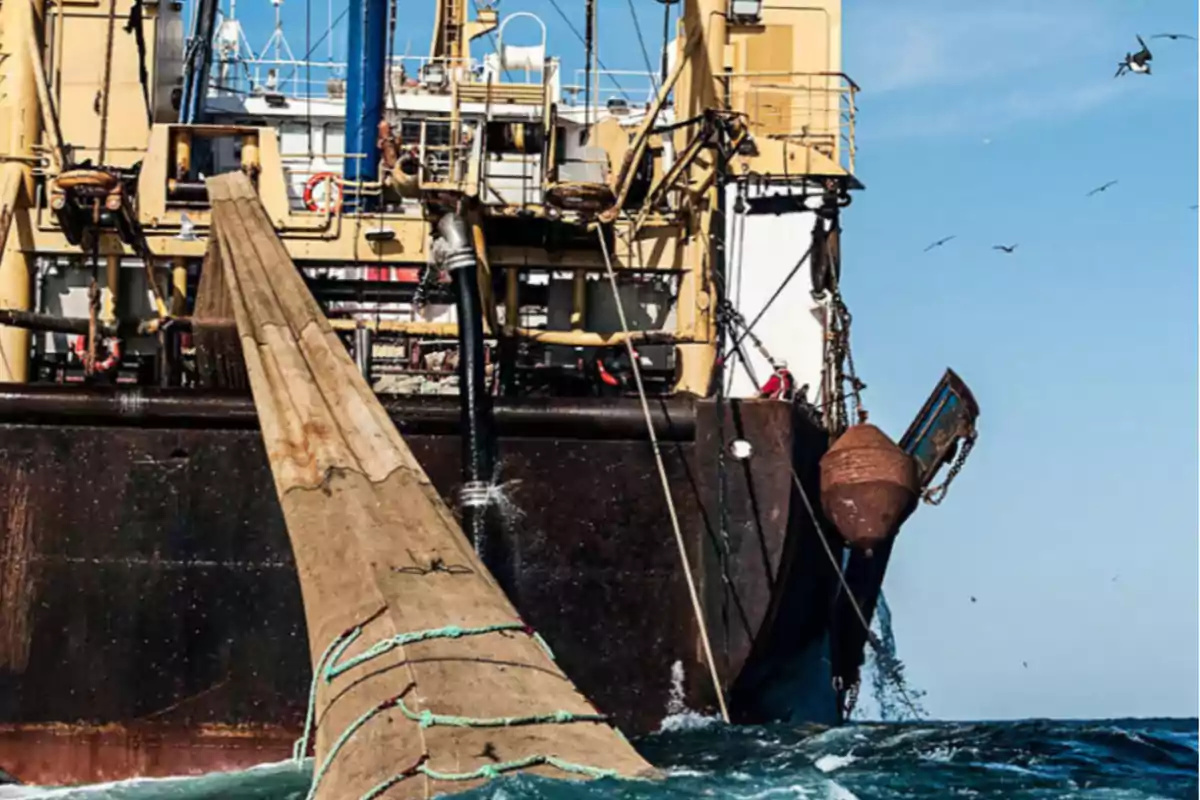 Un barco pesquero en el mar con una gran red extendida y varias aves volando alrededor.