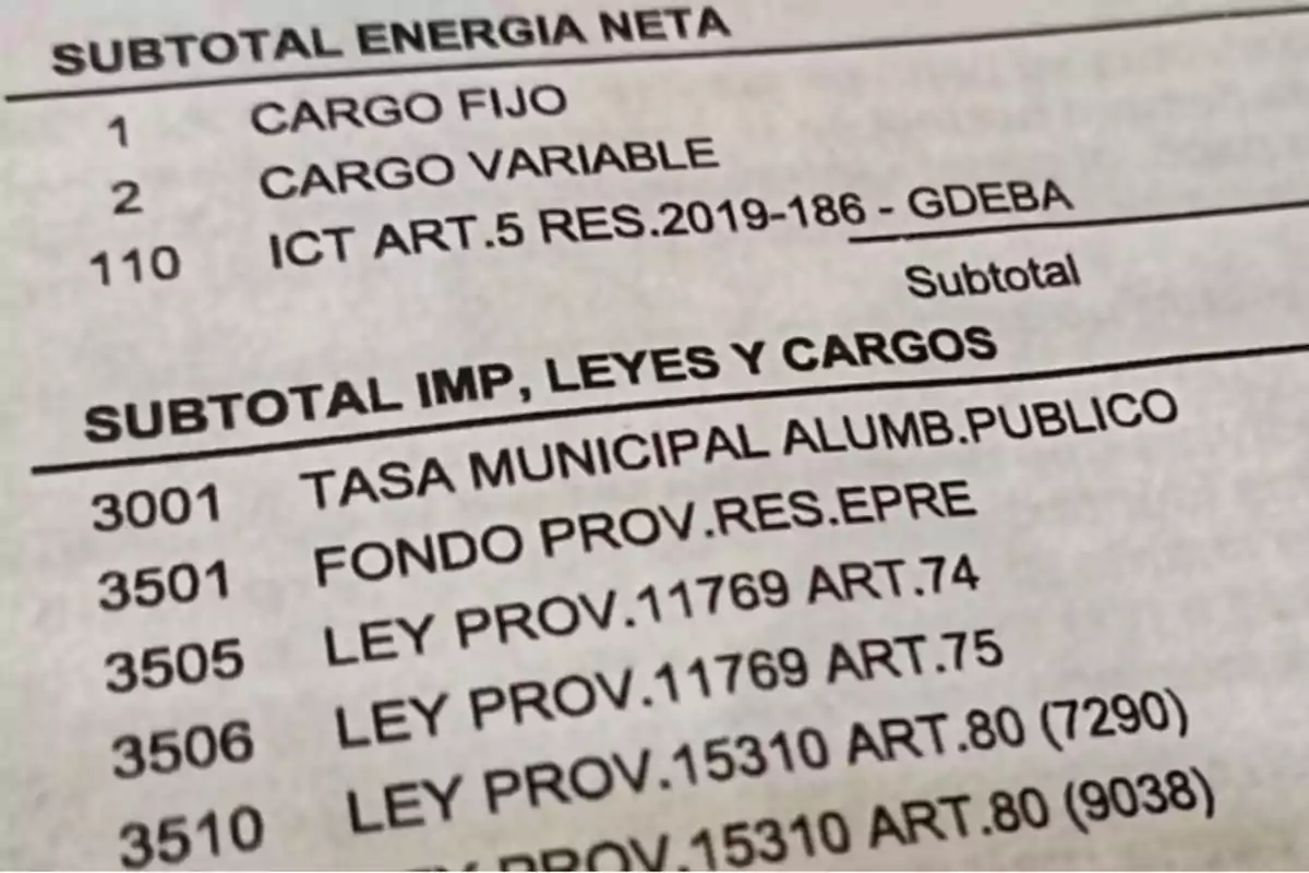 La imagen muestra una sección de una factura de servicios que detalla subtotales de energía neta y de impuestos, leyes y cargos, incluyendo conceptos como "Cargo Fijo", "Cargo Variable", "Tasa Municipal Alumbrado Público" y varias leyes provinciales con sus respectivos artículos.